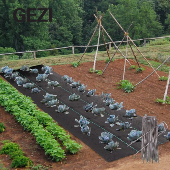 Tunnel Greenhouse Garden Weed Control Ground Cover Agriculture Heavy Duty Membrane Landscape Mulching Film Non Woven Fabric