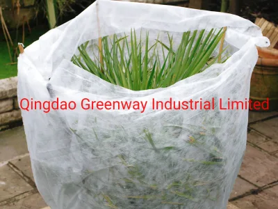 PP Spunbound Nonwoven Fabric for Agriculture